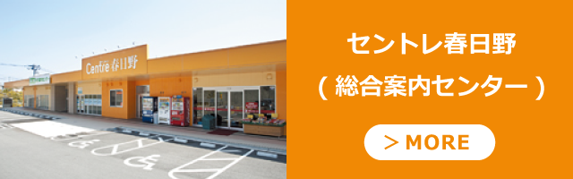総合案内センター